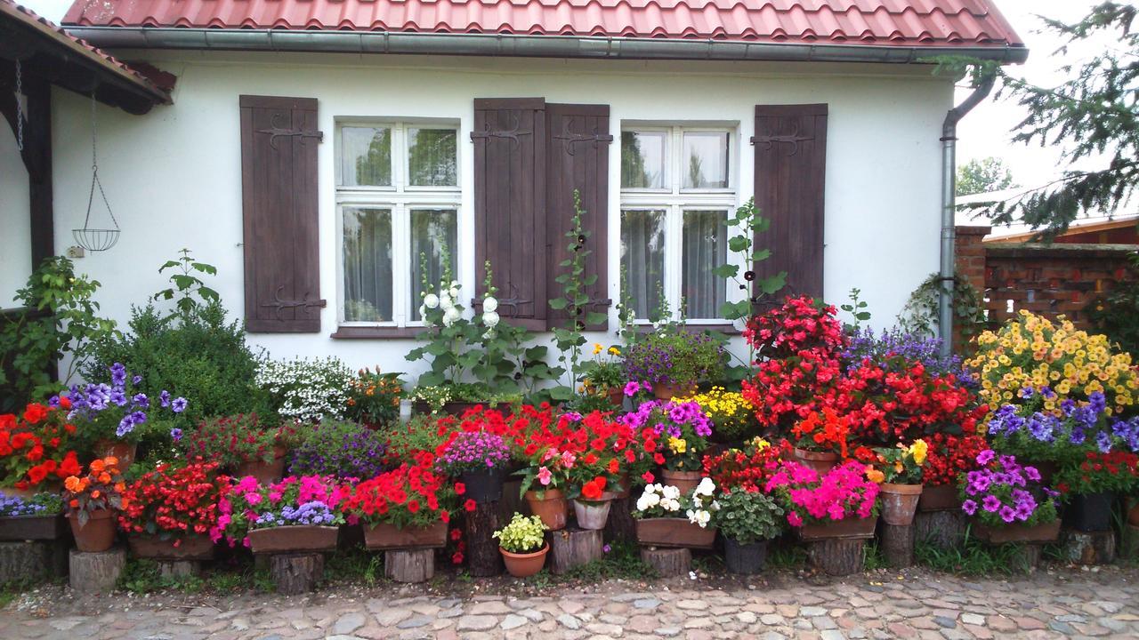 Zajazd Bonanza Jedrzychowice  Exterior foto